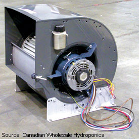 Central air blower clearance fan